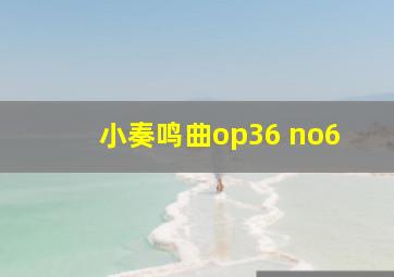 小奏鸣曲op36 no6